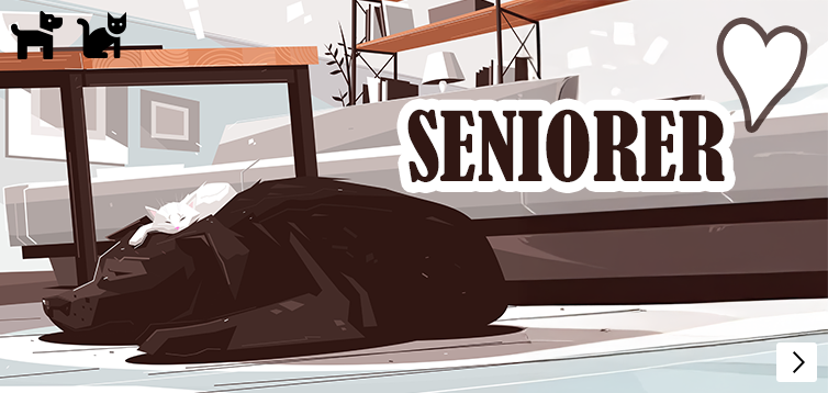 Theme-senior